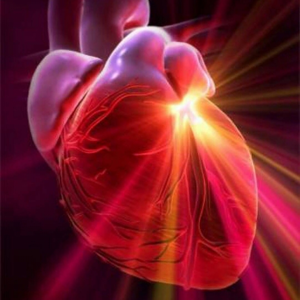 Ghi hình tình trạng bơm máu của tim chẩn đoán bệnh gì? và hướng dẫn đọc kết quả